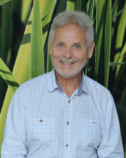 Doctor Team - Dr David Bassett Doctor Team - Dr David Bassett